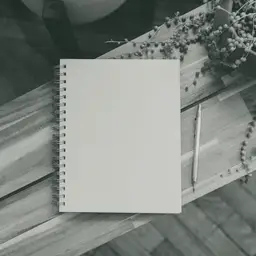 Ahşap bir masanın üzerinde duran boş spiralli bir defter, hemen yanında ince bir kalem ve sağ üst köşede kurumuş çiçek dalları; fotoğraf siyah beyaz ve yukarıdan çekilmiş.